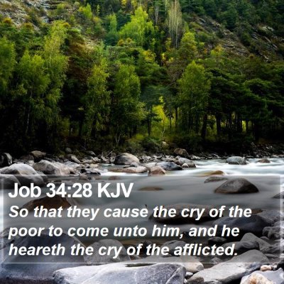 Job 34:28 KJV Bible Verse Image