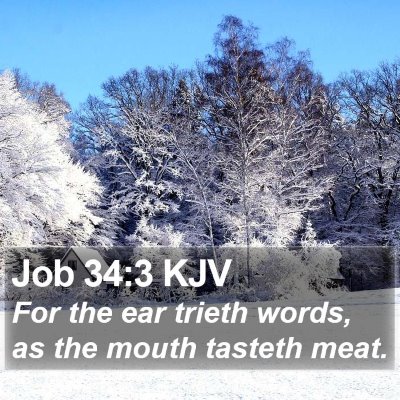 Job 34:3 KJV Bible Verse Image