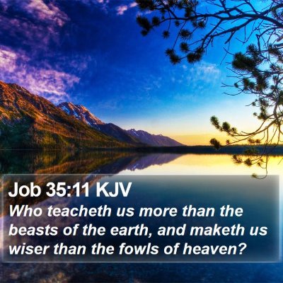 Job 35:11 KJV Bible Verse Image