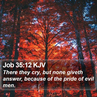 Job 35:12 KJV Bible Verse Image