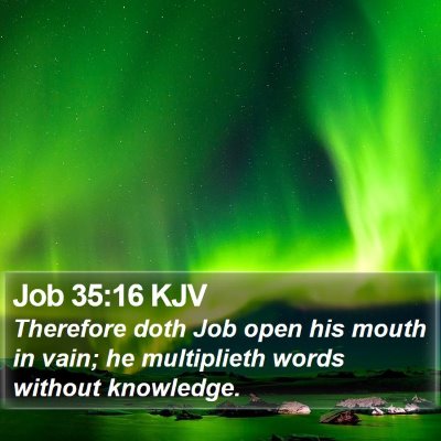 Job 35:16 KJV Bible Verse Image
