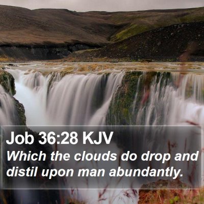Job 36:28 KJV Bible Verse Image