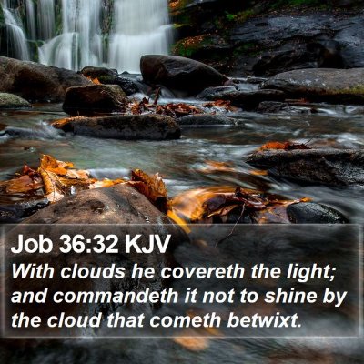 Job 36:32 KJV Bible Verse Image