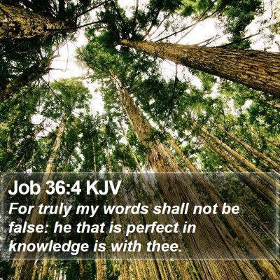 Job 36:4 KJV Bible Verse Image