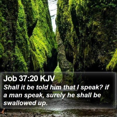Job 37:20 KJV Bible Verse Image