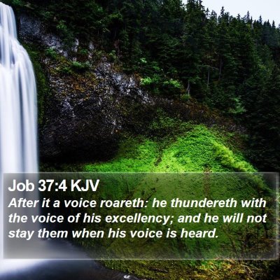 Job 37:4 KJV Bible Verse Image