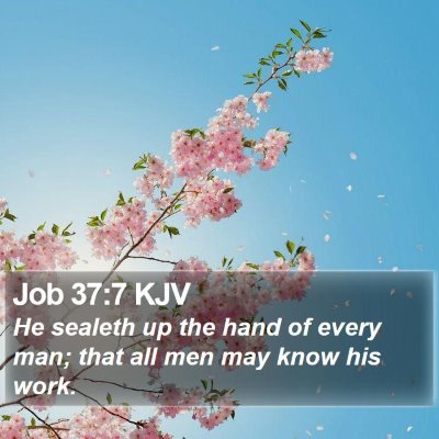 Job 37:7 KJV Bible Verse Image