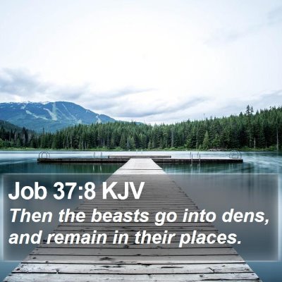 Job 37:8 KJV Bible Verse Image