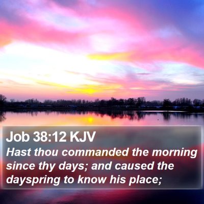 Job 38:12 KJV Bible Verse Image