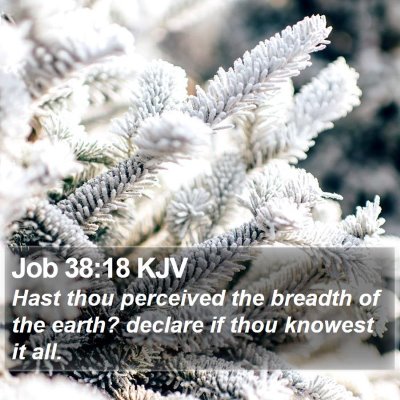 Job 38:18 KJV Bible Verse Image
