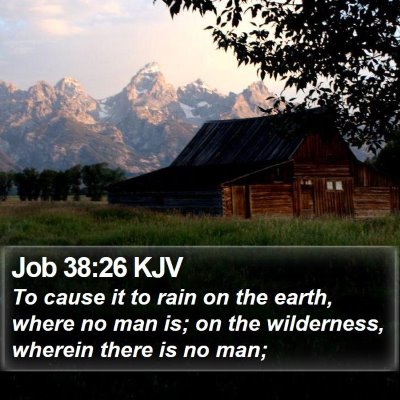 Job 38:26 KJV Bible Verse Image