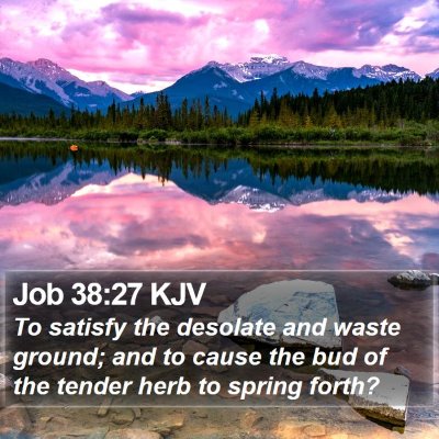 Job 38:27 KJV Bible Verse Image