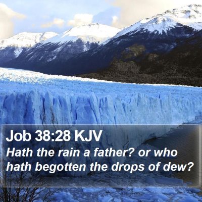 Job 38:28 KJV Bible Verse Image