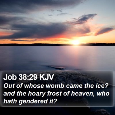 Job 38:29 KJV Bible Verse Image