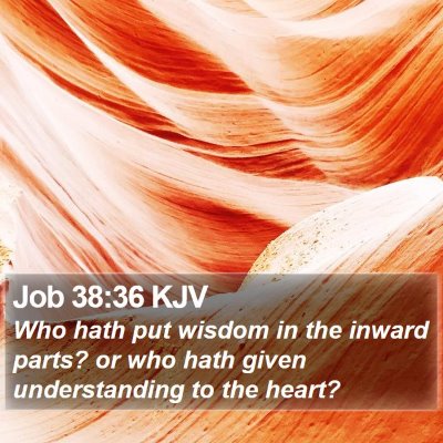 Job 38:36 KJV Bible Verse Image