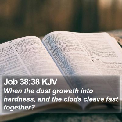 Job 38:38 KJV Bible Verse Image