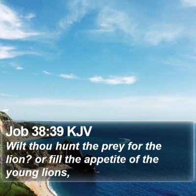 Job 38:39 KJV Bible Verse Image