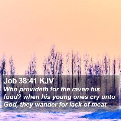 Job 38:41 KJV Bible Verse Image