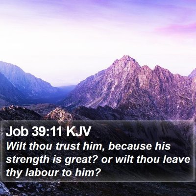 Job 39:11 KJV Bible Verse Image