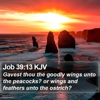 Job 39:13 KJV Bible Verse Image