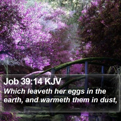 Job 39:14 KJV Bible Verse Image