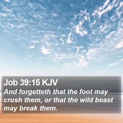 Job 39:15 KJV Bible Verse Image