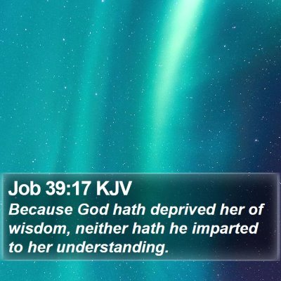 Job 39:17 KJV Bible Verse Image