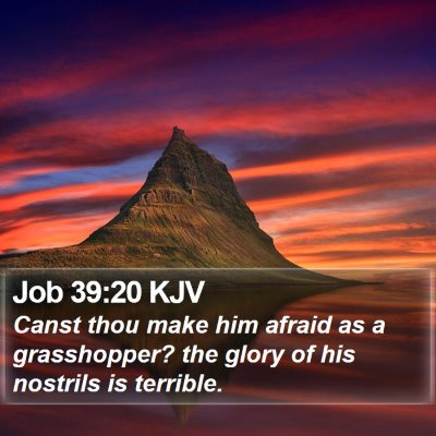 Job 39:20 KJV Bible Verse Image