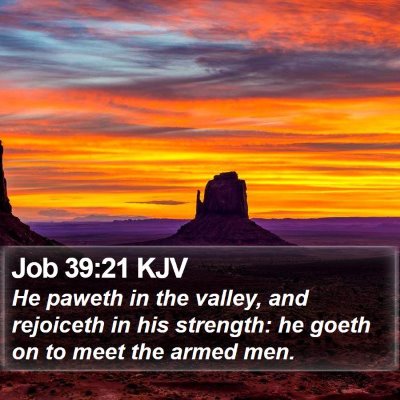 Job 39:21 KJV Bible Verse Image