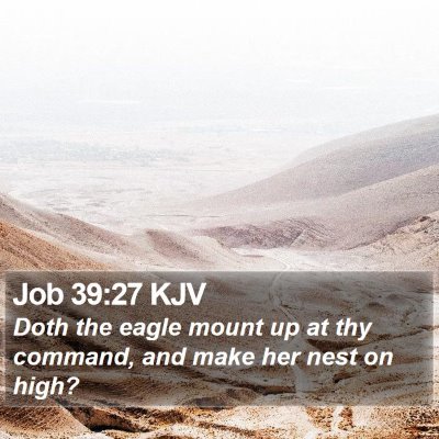 Job 39:27 KJV Bible Verse Image
