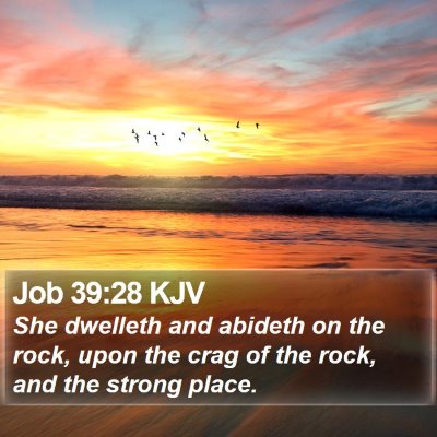 Job 39:28 KJV Bible Verse Image