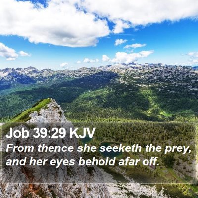 Job 39:29 KJV Bible Verse Image