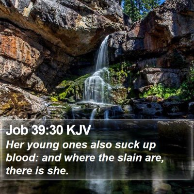 Job 39:30 KJV Bible Verse Image