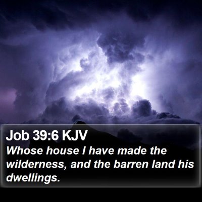 Job 39:6 KJV Bible Verse Image