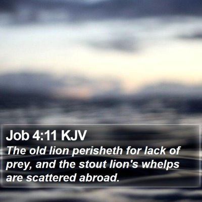 Job 4:11 KJV Bible Verse Image