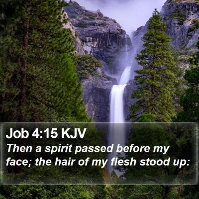 Job 4:15 KJV Bible Verse Image