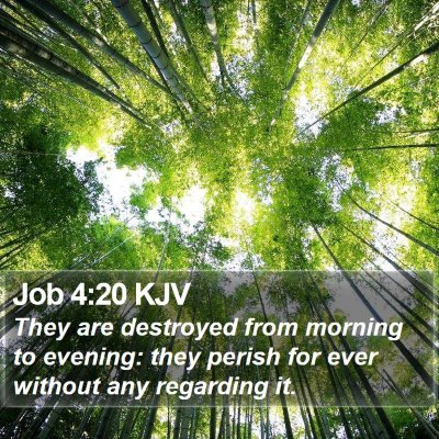 Job 4:20 KJV Bible Verse Image