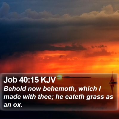 Job 40:15 KJV Bible Verse Image