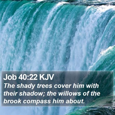Job 40:22 KJV Bible Verse Image
