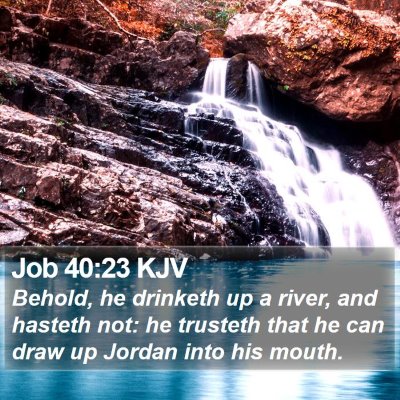 Job 40:23 KJV Bible Verse Image