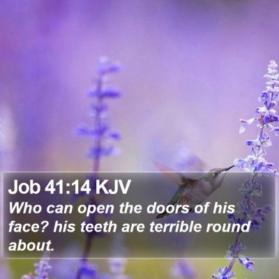 Job 41:14 KJV Bible Verse Image