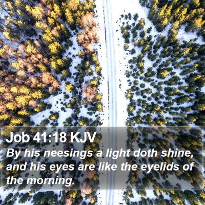Job 41:18 KJV Bible Verse Image