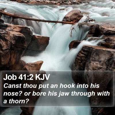 Job 41:2 KJV Bible Verse Image
