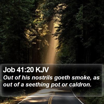 Job 41:20 KJV Bible Verse Image
