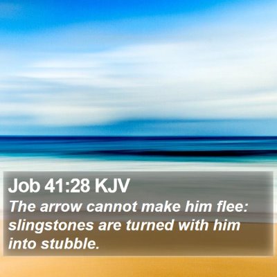 Job 41:28 KJV Bible Verse Image
