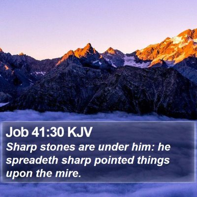Job 41:30 KJV Bible Verse Image