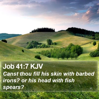 Job 41:7 KJV Bible Verse Image