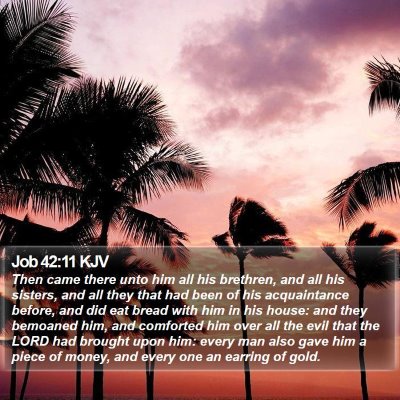 Job 42:11 KJV Bible Verse Image