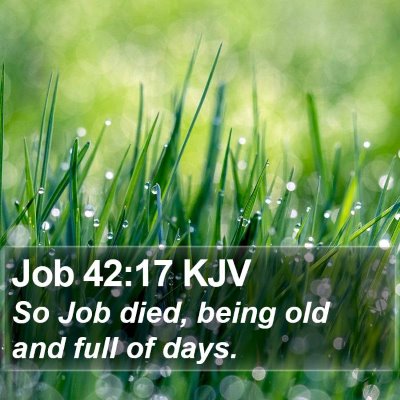 Job 42:17 KJV Bible Verse Image