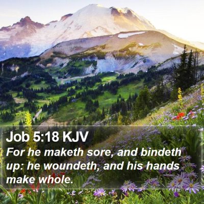 Job 5:18 KJV Bible Verse Image